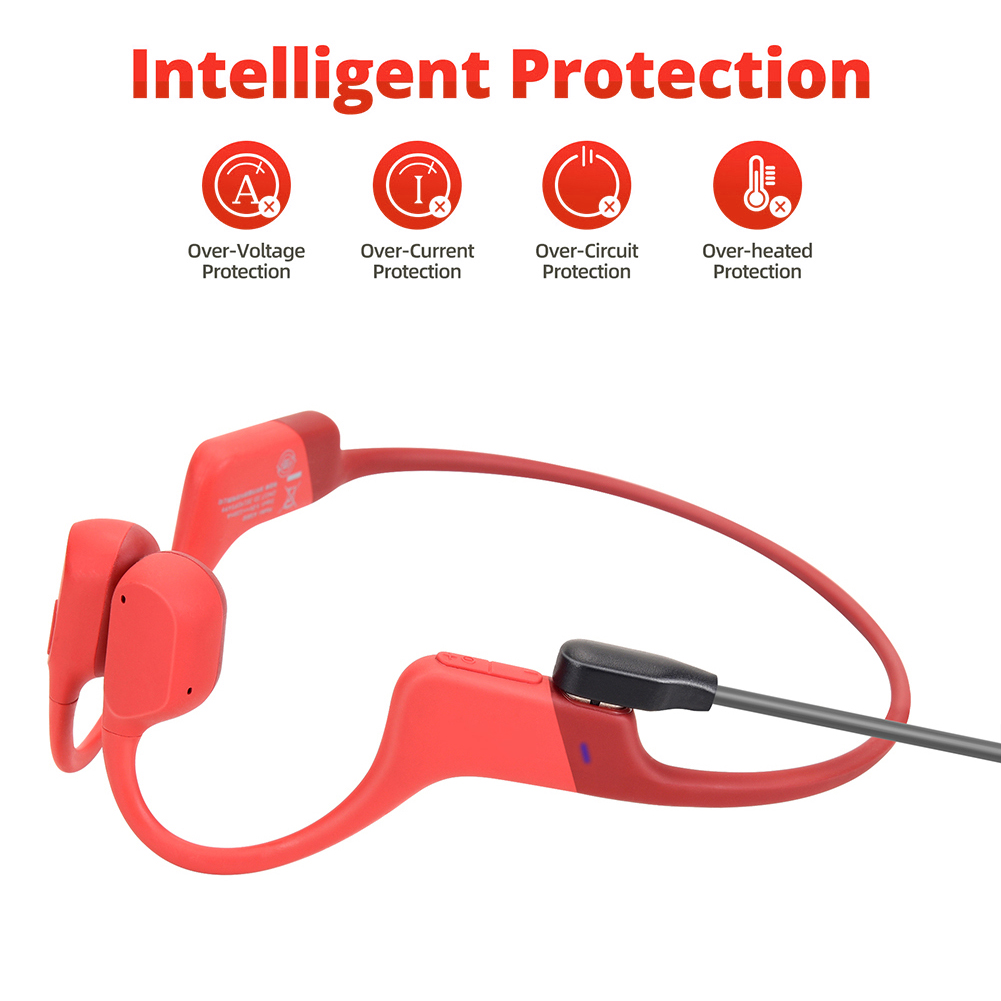 Bone Conduction Headphones Cha - đánh giá và giá Skyrc B6 Neo Smart Charger